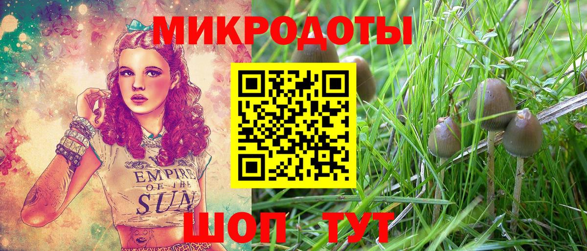 Галлюциногенные грибы GOLDEN TEACHER Добрянка