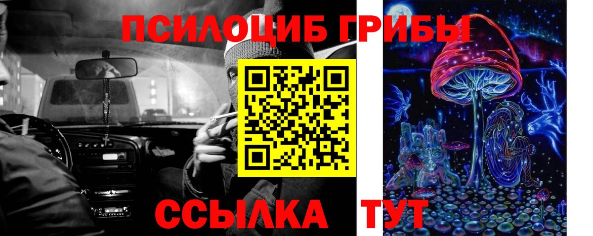 Добрянка  где можно купить наркотик  Вход с VPN  Псилоцибиновые грибы Psilocybe 