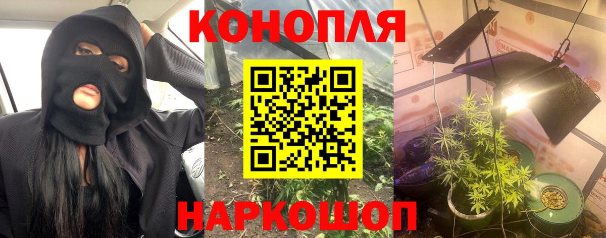 Конопля индика Добрянка